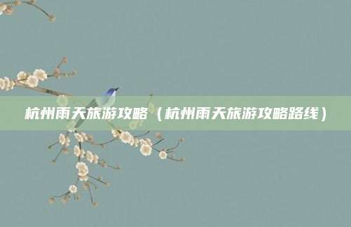 杭州雨天旅游攻略（杭州雨天旅游攻略路线）