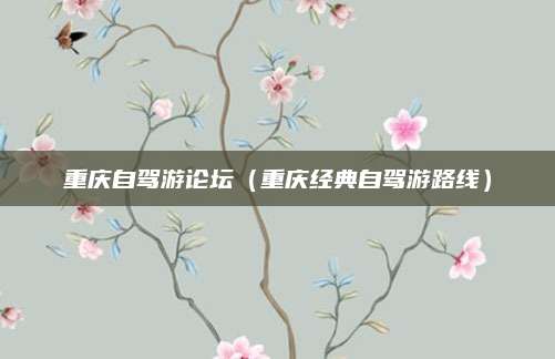 重庆自驾游论坛（重庆经典自驾游路线）