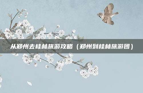 从郑州去桂林旅游攻略(郑州到桂林旅游团)