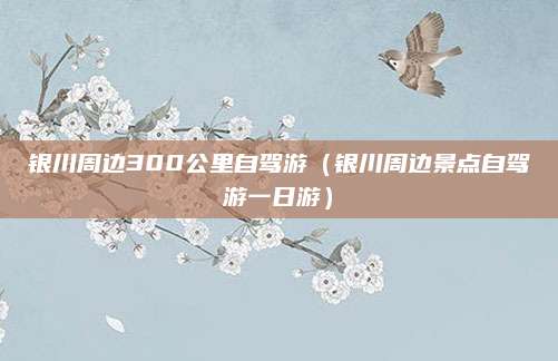银川周边300公里自驾游(银川周边景点自驾游一日游)
