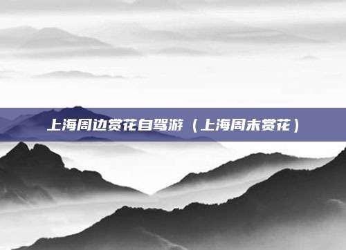 上海周边赏花自驾游（上海周末赏花）