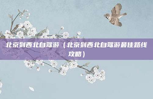 北京到西北自驾游（北京到西北自驾游最佳路线攻略）