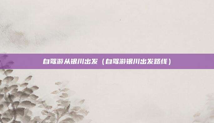 自驾游从银川出发（自驾游银川出发路线）