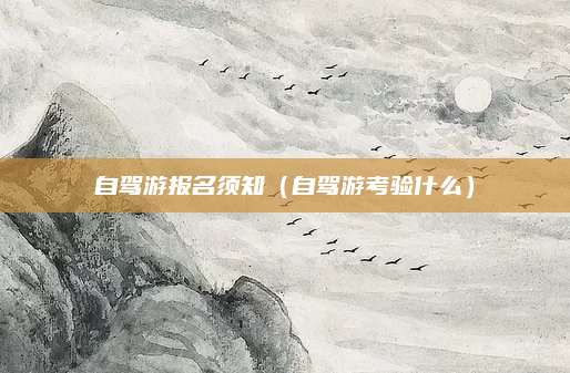自驾游报名须知(自驾游考验什么)