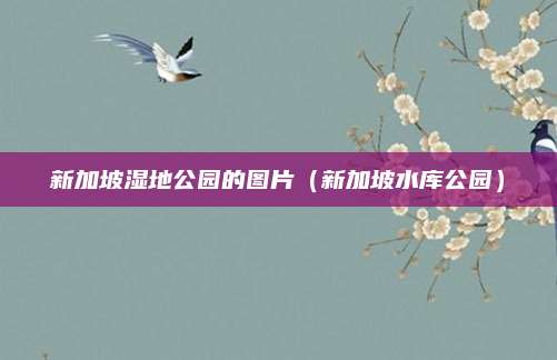 新加坡湿地公园的图片（新加坡水库公园）