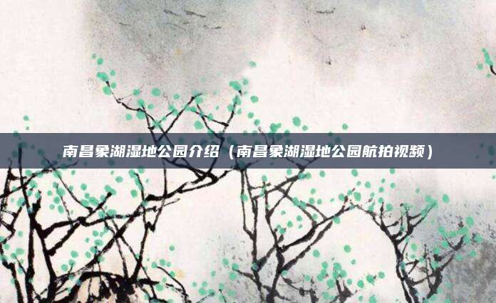 南昌象湖湿地公园介绍(南昌象湖湿地公园航拍视频)