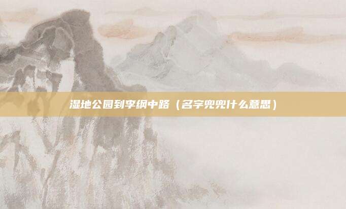 湿地公园到李纲中路(名字兜兜什么意思)