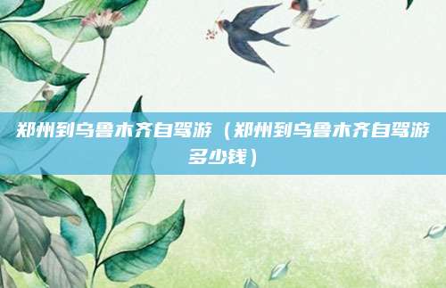 郑州到乌鲁木齐自驾游（郑州到乌鲁木齐自驾游多少钱）