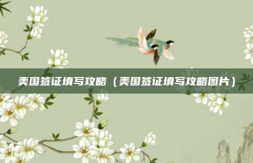 美国签证填写攻略(美国签证填写攻略图片)