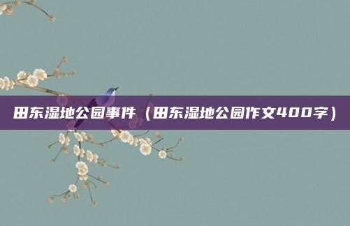 田东湿地公园事件(田东湿地公园作文400字)