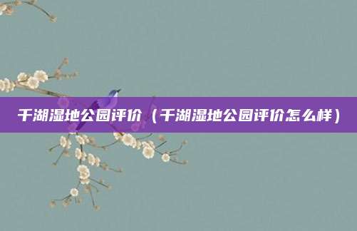 千湖湿地公园评价(千湖湿地公园评价怎么样)