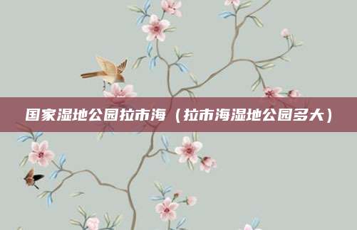 国家湿地公园拉市海（拉市海湿地公园多大）