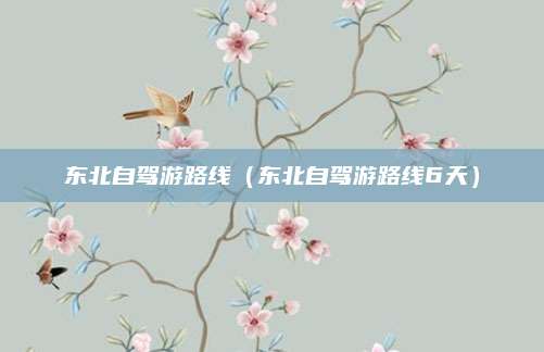 东北自驾游路线（东北自驾游路线6天）