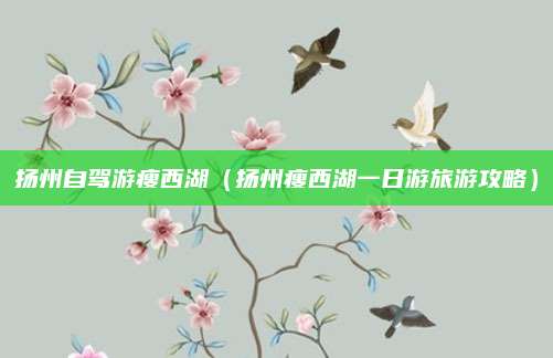 扬州自驾游瘦西湖（扬州瘦西湖一日游旅游攻略）