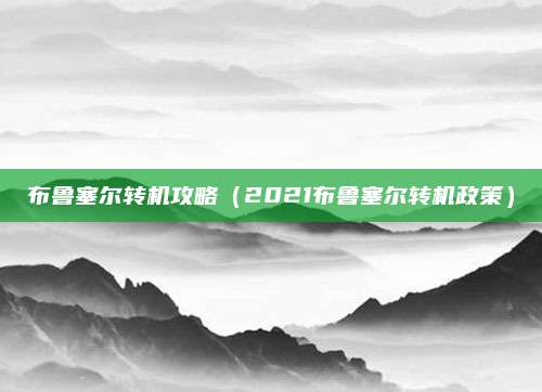 布鲁塞尔转机攻略（2021布鲁塞尔转机政策）