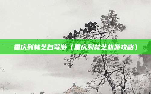 重庆到林芝自驾游（重庆到林芝旅游攻略）
