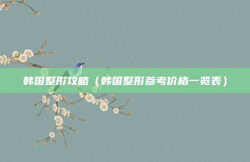 韩国整形攻略（韩国整形参考价格一览表）