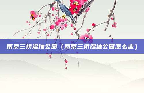 南京三桥湿地公园（南京三桥湿地公园怎么走）