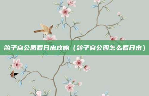鸽子窝公园看日出攻略（鸽子窝公园怎么看日出）