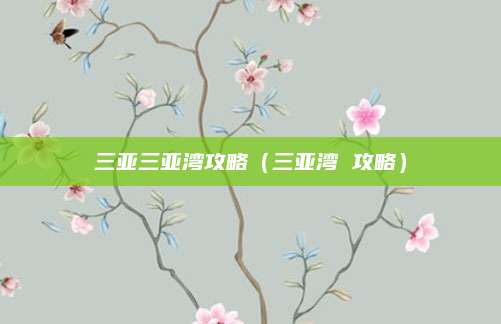 三亚三亚湾攻略(三亚湾 攻略)