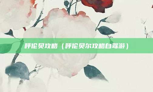 呼伦贝攻略(呼伦贝尔攻略自驾游)
