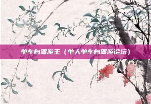 单车自驾游王(单人单车自驾游论坛)