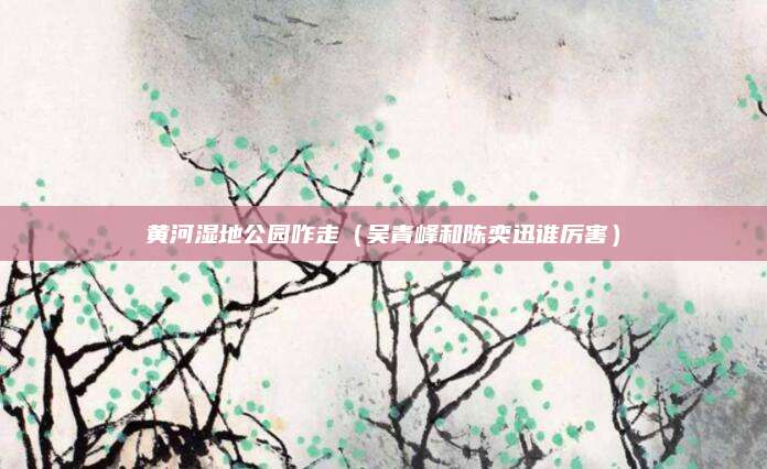 黄河湿地公园咋走（吴青峰和陈奕迅谁厉害）