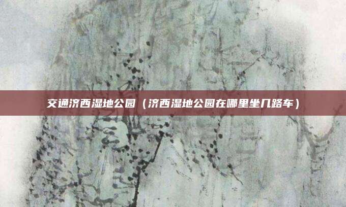 交通济西湿地公园（济西湿地公园在哪里坐几路车）