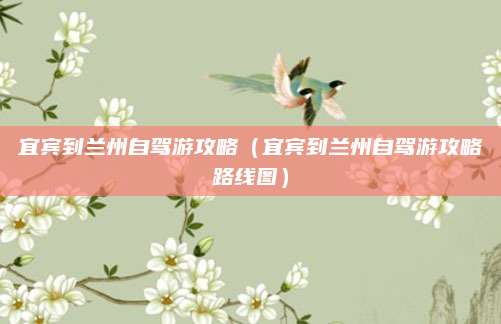 宜宾到兰州自驾游攻略(宜宾到兰州自驾游攻略路线图)