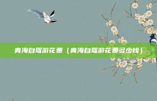 青海自驾游花费（青海自驾游花费多少钱）