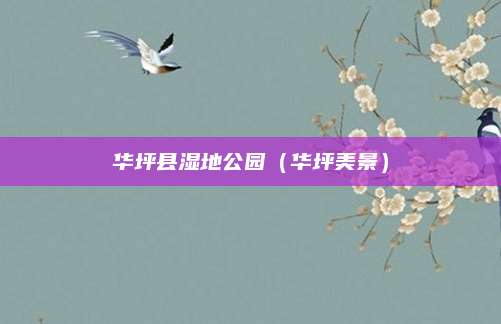 华坪县湿地公园(华坪美景)