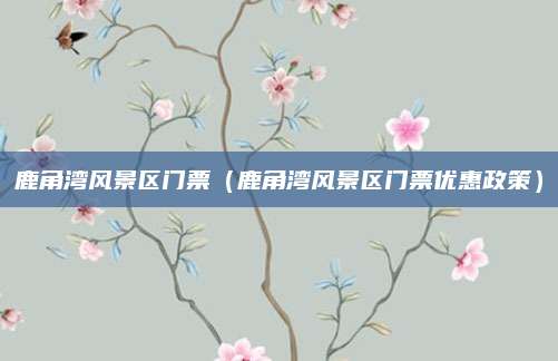 鹿角湾风景区门票(鹿角湾风景区门票优惠政策)