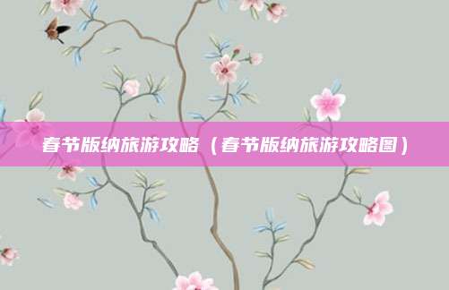 春节版纳旅游攻略(春节版纳旅游攻略图)