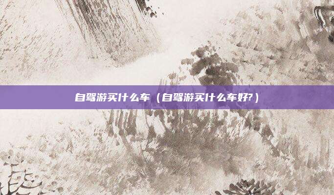 自驾游买什么车(自驾游买什么车好?)