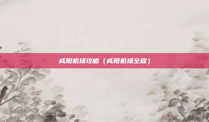 咸阳机场攻略(咸阳机场全程)