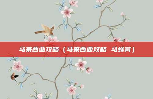 马来西亚攻略(马来西亚攻略 马蜂窝)