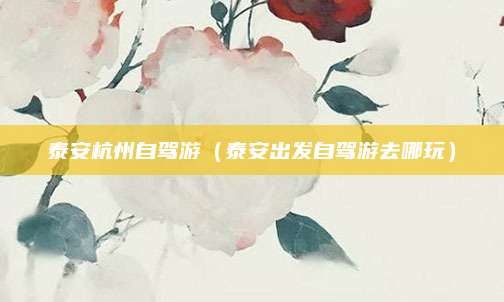 泰安杭州自驾游（泰安出发自驾游去哪玩）