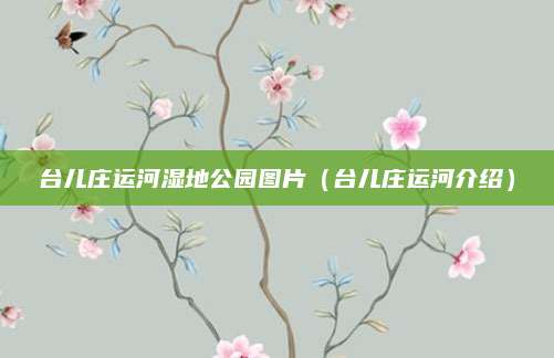 台儿庄运河湿地公园图片（台儿庄运河介绍）