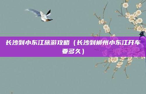 长沙到小东江旅游攻略(长沙到郴州小东江开车要多久)