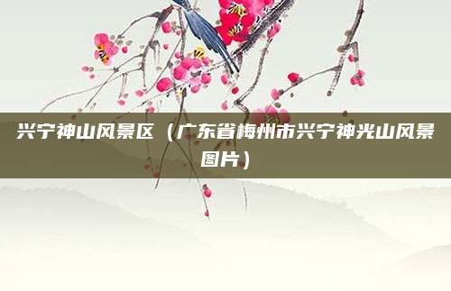 兴宁神山风景区(广东省梅州市兴宁神光山风景图片)