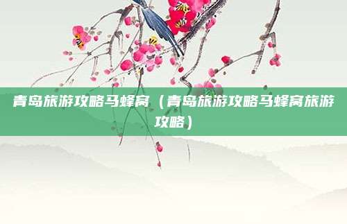 青岛旅游攻略马蜂窝(青岛旅游攻略马蜂窝旅游攻略)