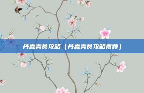 丹麦美食攻略（丹麦美食攻略视频）
