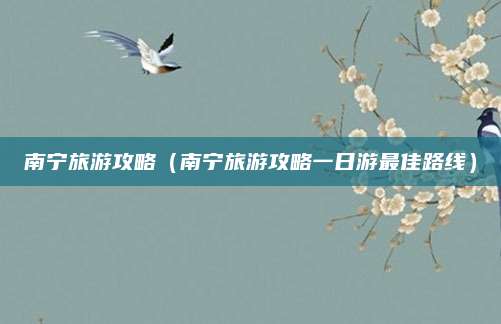 南宁旅游攻略（南宁旅游攻略一日游最佳路线）