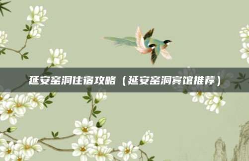 延安窑洞住宿攻略(延安窑洞宾馆推荐)