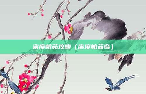 密度帕茹攻略(密度帕茹岛)