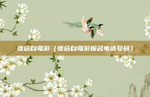 张店自驾游(张店自驾游报名电话号码)