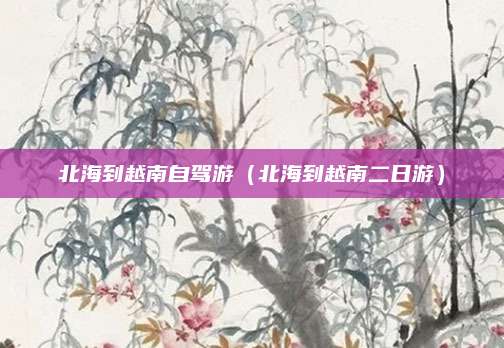 北海到越南自驾游（北海到越南二日游）