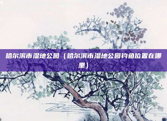 哈尔滨市湿地公园(哈尔滨市湿地公园钓鱼位置在哪里)