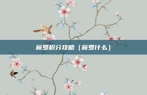 新罗积分攻略(新罗什么)