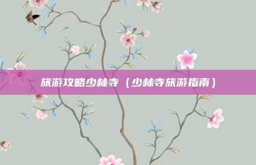 旅游攻略少林寺(少林寺旅游指南)